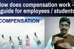 Comp 101: How does compensation work? A guide for employees and students