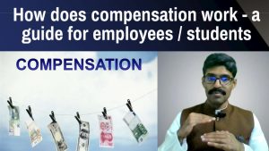 Read more about the article Comp 101: How does compensation work? A guide for employees and students